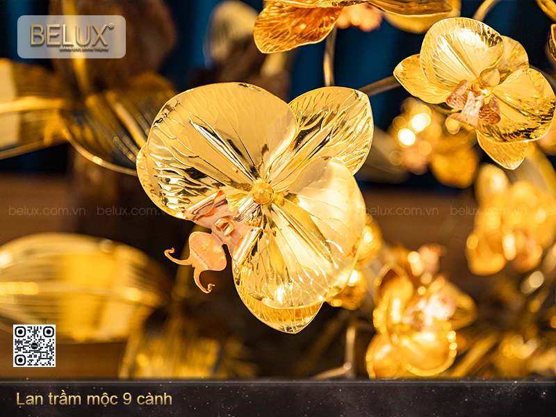 Lan trầm mộc 9 cành&nbsp;